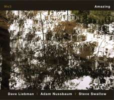Liebman / Nussbaum / Swallow: Amazing